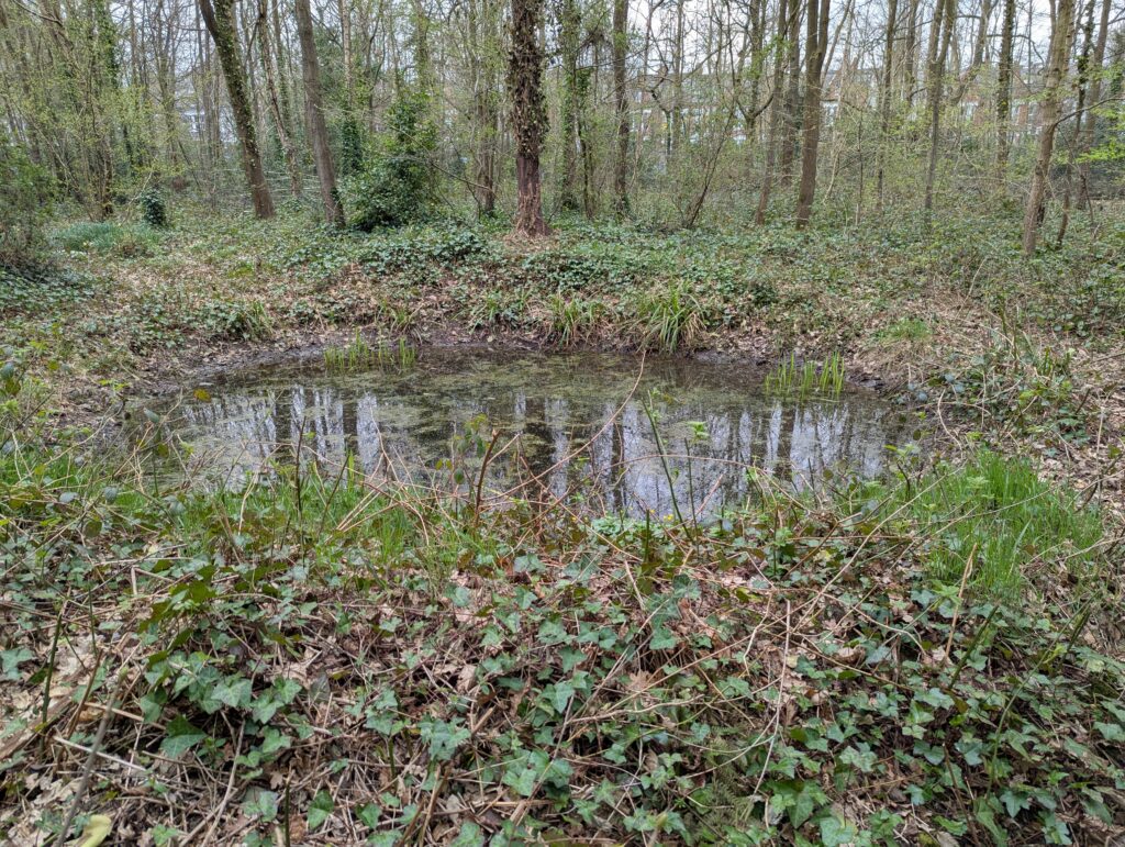 A small ephemeral wetland - a body of water that rises and falls with the weather