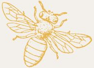 A line drawing of a bee in a yellow colour